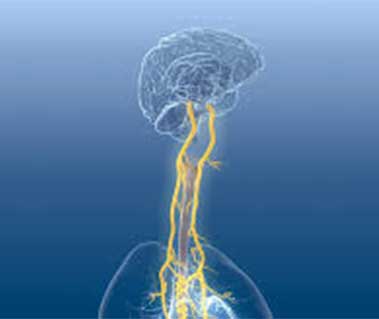 nerve-blog